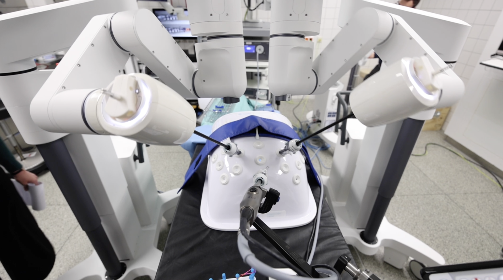 On Špela Petrič’s Performative Ethnography or How to Contaminate Automation