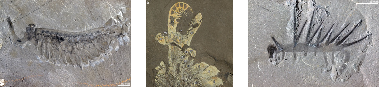 Site-Specificity for Inexistent Worlds: On Post-Critical Exaptation
