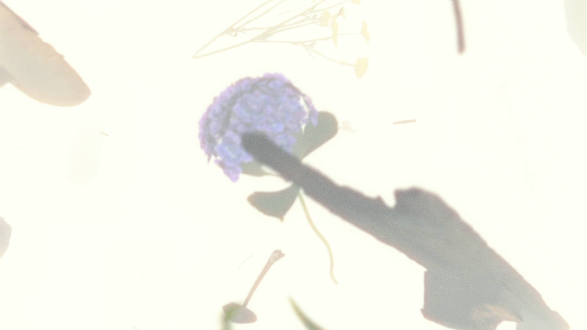 Youth Grows Forever